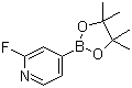 2-Fluoropyridine-4-boronic acid pinacol ester molecular structure (CAS 458532-86-0)