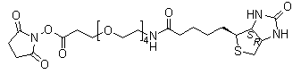 21-[(3aS,4S,6aR)-Hexahydro-2-oxo-1H-thieno[3,4-d]imidazol-4-yl]-17-oxo-4,7,10,13-tetraoxa-16-azaheneicosanoic acid 2,5-dioxo-1-pyrrolidinyl ester molecular structure (CAS 459426-22-3)