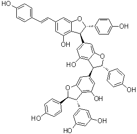 CAS 登录号：462636-74-4, Gnemonol B