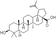 structure of CAS# 472-15-1, Betulinic acid