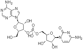 腺苷酰-(3'→5')-胞苷分子结构 (CAS 4833-63-0)