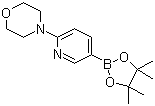 structure of CAS# 485799-04-0, 6-(Morpholin-4-yl)pyridine-3-boronic acid pinacol ester