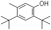 4,6-二叔丁基间甲酚分子结构 (CAS 497-39-2)