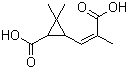 CAS # 497-95-0, Chrysanthemumdicarboxylic acid, 3-(2-Carboxy-1-propen-1-yl)-2,2-dimethylcyclopropanecarboxylic acid, 3-Carboxy-alpha,2,2-trimethylcyclopropaneacrylic acid , 3-(2-Carboxy-1-propenyl)-2,2-dimethylcyclopropanecarboxylic