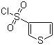 3-噻吩磺酰氯分子结构 (CAS 51175-71-4)
