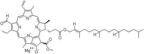 Chlorophyll B molecular structure (CAS 519-62-0)