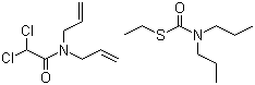 二氯丙烯胺-菌达灭混剂分子结构 (CAS 51990-04-6)