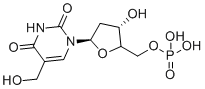 CAS 登录号：5238-86-8, 5-羟基甲基脱氧尿苷酸