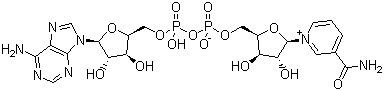 CAS # 53-84-9, β-Diphosphopyridine nucleotide, β,-Nicotinamide adenine dinucleotide, beta-DPN, beta-NAD