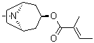 托品基 2,3-二甲基丙烯酸酯分子结构 (CAS 533-08-4)