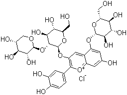 CAS # 53925-33-0, Cyanidin 3-sambubioside-5-glucoside chloride, 2-(3,4-Dihydroxyphenyl)-5-(beta-D-glucopyranosyloxy)-7-hydroxy-3-[(2-O-beta-D-xylopyranosyl-beta-D-glucopyranosyl)oxy]-1-benzopyrylium chloride