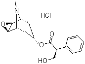 (-)-盐酸东莨菪碱分子结构 (CAS 55-16-3)