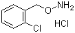 邻氯苄氧胺盐酸盐分子结构 (CAS 5555-48-6)