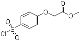 Methyl 2-[4-(chlorosulfonyl)phenoxy]acetate molecular structure (CAS 56077-78-2)