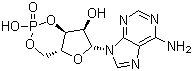 CAS # 60-92-4, Cyclic AMP, 3'-5' Cyclic adenosine monophosphate