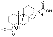 ent-贝壳烯烷-17,19-二酸分子结构 (CAS 60761-79-7)