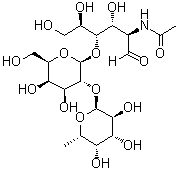 CAS # 60797-31-1, O-6-Deoxy-alpha-L-galactopyranosyl-(1→2)-O-beta-D-galactopyranosyl-(1→4)-2-(acetylamino)-2-deoxy-D-glucose, Type 2 blood-group H trisaccharide