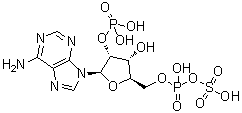 2'-Phosphoadenosine 5'-phosphosulfate molecular structure (CAS 62230-89-1)