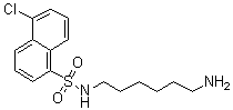 CAS # 65595-90-6, N-(6-Aminohexyl)-5-chloro-1-naphthalenesulfonamide, W 7, W7 (pharmaceutical), [6-[[(5-Chloronaphthalen-1-yl)sulfonyl]amino]hexyl]amine