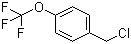 structure of CAS# 65796-00-1, 4-(Trifluoromethoxy)benzyl chloride