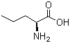 structure of CAS# 6600-40-4, Norvaline