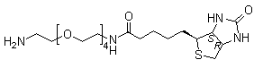 (3aS,4S,6aR)-N-(14-Amino-3,6,9,12-tetraoxatetradec-1-yl)hexahydro-2-oxo-1H-thieno[3,4-d]imidazole-4-pentanamide molecular structure (CAS 663171-32-2)