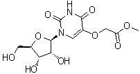 CAS 登录号：66536-81-0, 尿苷-5-氧基乙酸甲酯