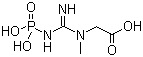 structure of CAS# 67-07-2, N-(Phosphonoamidino)-sarcosine