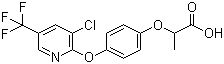 structure of CAS# 69806-34-4, Haloxyfop