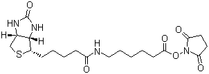 structure of CAS# 72040-63-2, Succinimidyl 6-(biotinamido)hexanoate