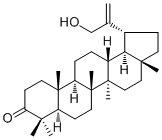 30-羟基羽扇-20(29)-烯-3-酮分子结构 (CAS 72944-06-0)