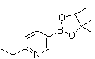 structure of CAS# 741709-61-5, 2-乙基-5-(4,4,5,5-四甲基-1,3,2-二氧硼杂环戊烷-2-基)吡啶
