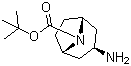 structure of CAS# 744183-20-8, N-Boc-exo-3-aminotropane