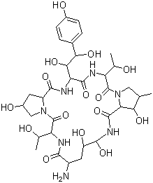 CAS # 79411-15-7, 1-[(4R,5R)-4,5-Dihydroxy-L-ornithine]echinocandin B, Antibiotic A-30912A nucleus