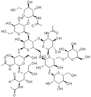 CAS 登录号：84182-21-8, O-2-(乙酰氨基)-2-脱氧-beta-D-吡喃葡萄糖基-(1→4)-O-[O-2-(乙酰氨基)-2-脱氧-beta-D-吡喃葡萄糖基-(1→2)-alpha-D-甘露糖基-(1→3)]-O-[O-alpha-D-甘露糖基-(1→3)-O-[alpha-D-甘露糖基-(1→6)]-alpha-D-甘露糖基-(1→6)]-O-beta-D-甘露糖基-(1→4)-O-2-(乙酰氨基)-2-脱氧-beta-D-吡喃葡萄糖基-(1→4)-2-(乙酰氨基)-2-脱氧-D-葡萄糖