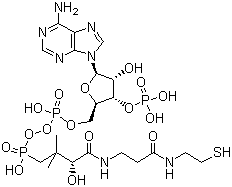 structure of CAS# 85-61-0, Coenzyme A