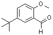 structure of CAS# 85943-26-6, 5-叔丁基-2-甲氧基苯甲醛