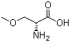 structure of CAS# 86118-11-8, (R)-2-Amino-3-methoxylpropanoic acid