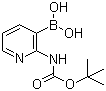 2-(tert-Butoxycarbonylamino)pyridine-3-boronic acid molecular structure (CAS 863753-35-9)