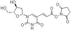 2'-脱氧-5-[(1E)-3-[(2,5-二氧代-1-吡咯烷基)氧基]-3-氧代-1-丙烯基]尿苷分子结构 (CAS 869355-24-8)