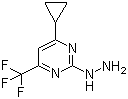 CAS 登录号：869945-40-4, 4-环丙基-2-肼基-6-(三氟甲基)嘧啶