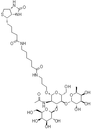 CAS # 870891-35-3, (3aS,4S,6aR)-N-[6-[[3-[[O-6-Deoxy-alpha-L-galactopyranosyl-(1→4)-O-[beta-D-galactopyranosyl-(1→3)]-2-(acetylamino)-2-deoxy-beta-D-glucopyranosyl]oxy]propyl]amino]-6-oxohexyl]hexahydro-2-oxo-1H-thieno[3,4-d]imidazole-4-pentanamide