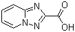 [1,2,4]Triazolo[1,5-a]pyridine-2-carboxylic acid molecular structure (CAS 876379-83-8)