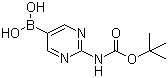 [2-(叔丁氧羰基氨基)嘧啶-5-基]硼酸分子结构 (CAS 883231-25-2)