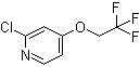 structure of CAS# 885277-01-0, 2-Chloro-4-(2,2,2-trifluoroethoxy)pyridine