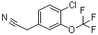 structure of CAS# 886500-97-6, 4-Chloro-3-(trifluoromethoxy)benzeneacetonitrile