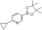 structure of CAS# 893567-09-4, 6-环丙基吡啶-3-硼酸频那醇酯