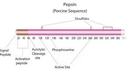 structure of CAS# 9001-75-6