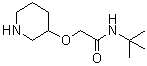 structure of CAS# 902836-73-1, N-(1,1-Dimethylethyl)-2-(3-piperidinyloxy)acetamide