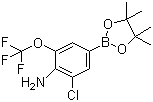 CAS # 915402-37-8, 3-Chloro-5-(trifluoromethoxy)-4-aminophenylboronic acid pinacol ester, 2-Chloro-4-(4,4,5,5-tetramethyl-1,3,2-dioxaborolan-2-yl)-6-(trifluoromethoxy)benzenamine